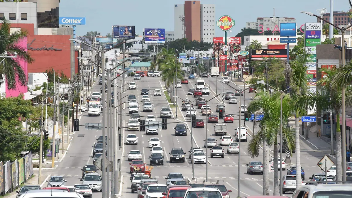 Renovacion de placas 2025 lo que debe saber